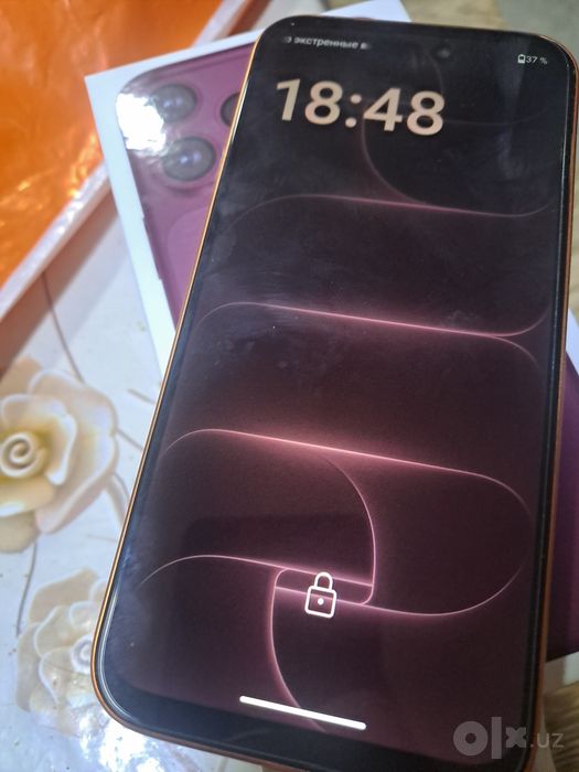 iPhone 18 pro max 256 Gb