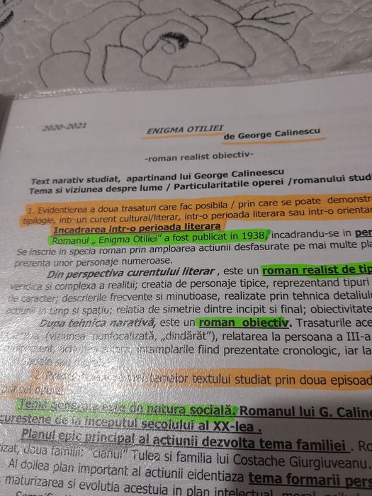 Comentantarii Bac+ subiectul 2