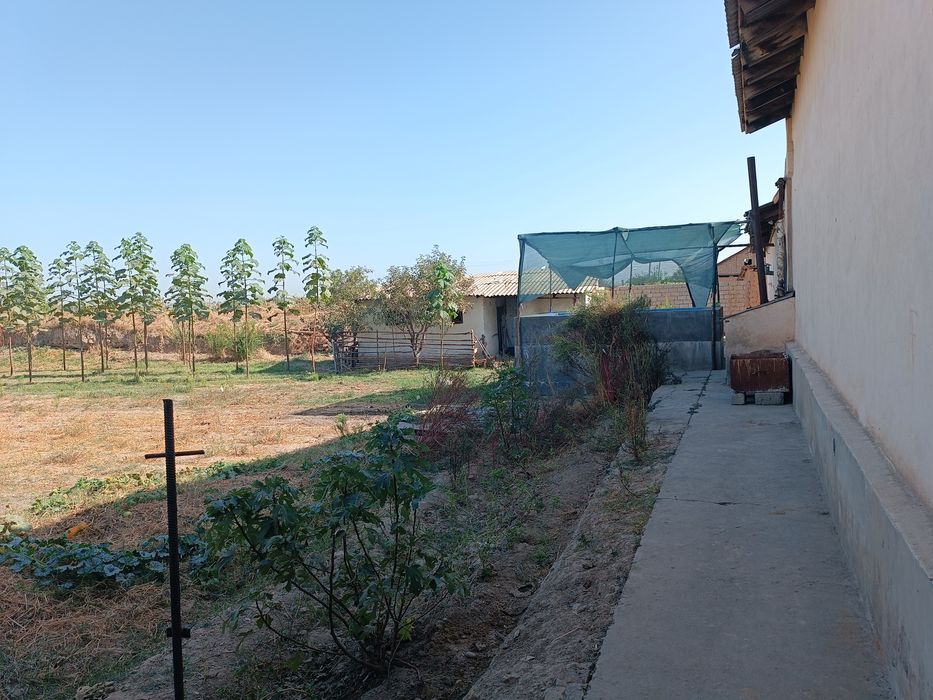 Xovli sotlad yangiyol tuman 55 yol yoqas bõlib sotamz