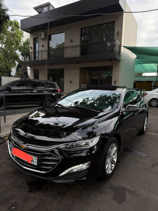 Malibu 2 /primer 2022