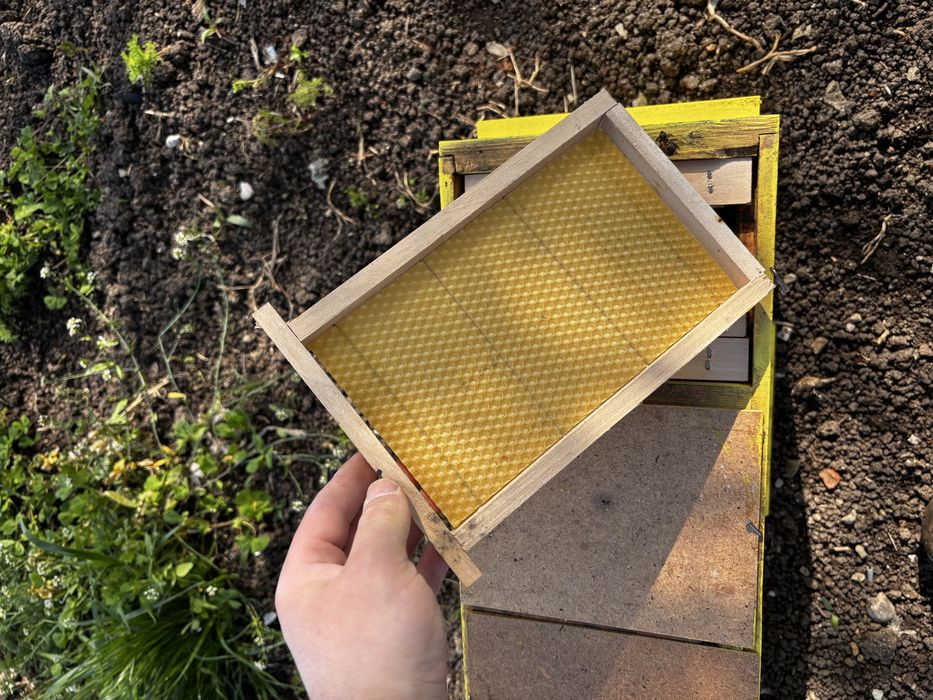 Оплодно сандъче с 4 отделения