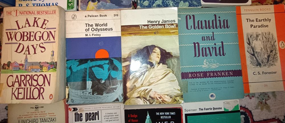 Carti in limba engleză