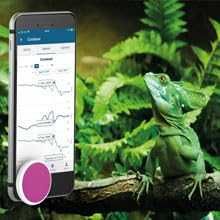 Нов 4 в 1 BLE датчик Температура Влажност Налягане Точка на оросяване