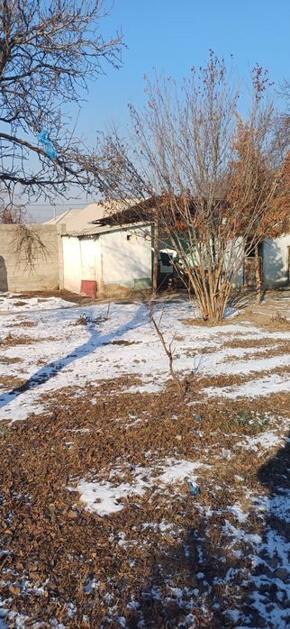 Дача шұбарсуда 3 бөлмелі уи сатылады.