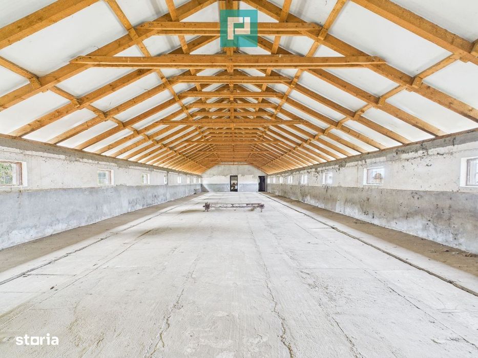 Hală pentru producție / fermă zootehnică  - Variaș