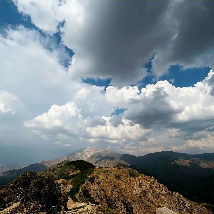 Услуги сертифицированного гида экскурсовода по Ташкенту и Ташобласти