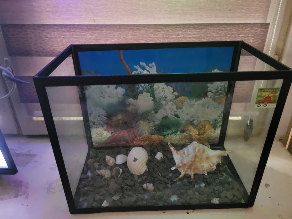 Аквариум для рыб с декорациями
