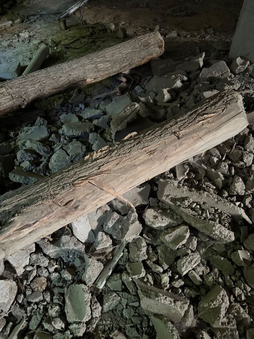 Тўсинлар сотилади