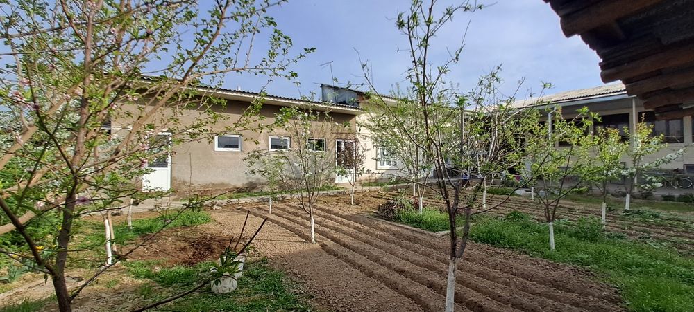 ХОВЛИ СОТИЛАДИ!!! котта иттифокда