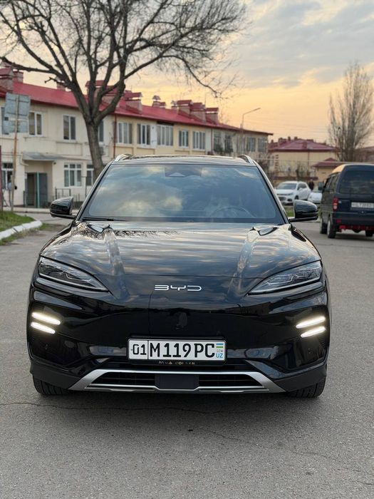 BYD chempiyon arenda