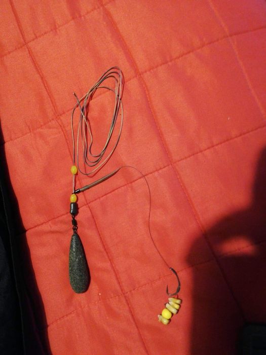 Monturi pescuit crap