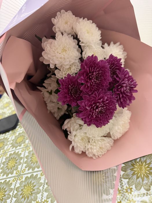 Харизентема розы все свежие