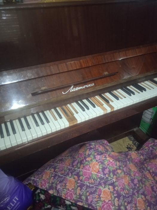 Ласточка пианина