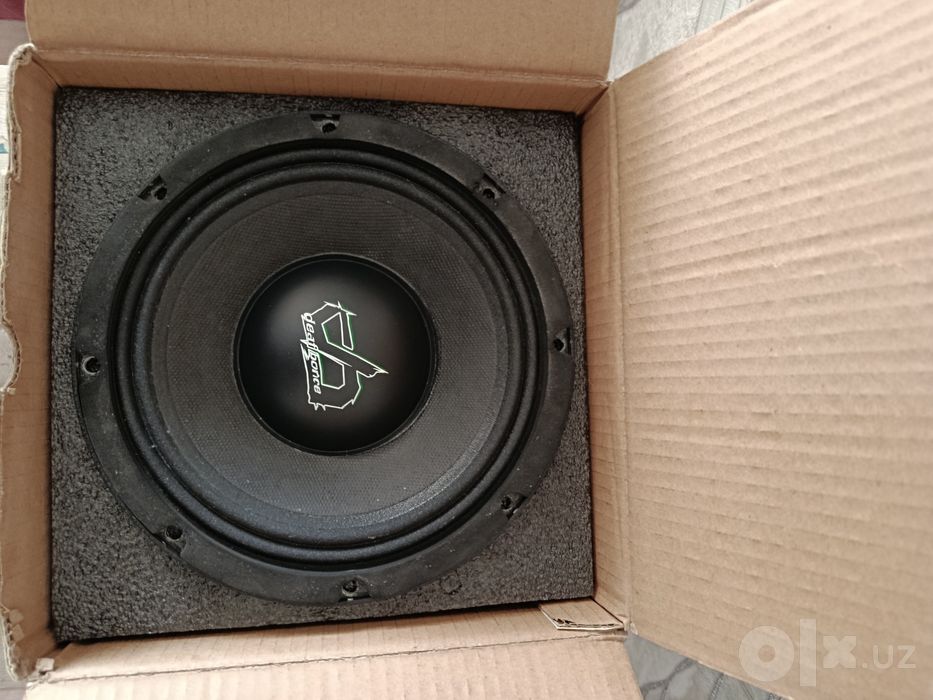 DB Deaf bonse w80