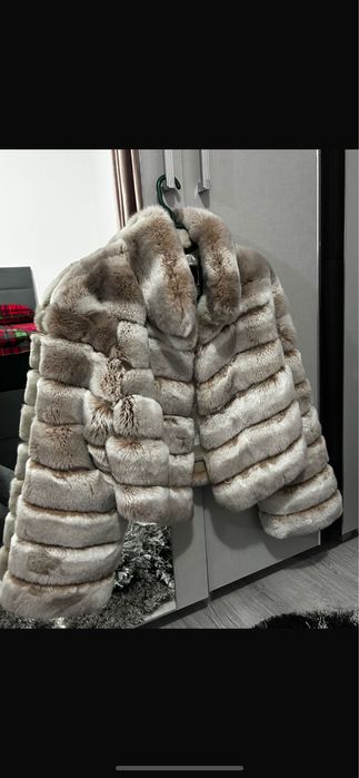 blana naturala de Chinchilla Rex , Bej