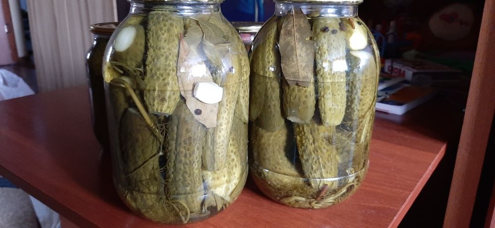 Соленые огурцы и помидоры домашняя