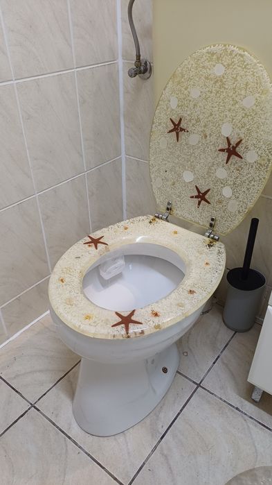 Set WC complet – vas + bazin plastic + capac