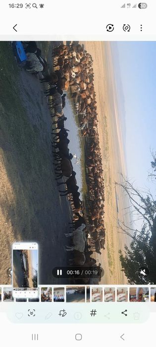 Фазенда сатылады