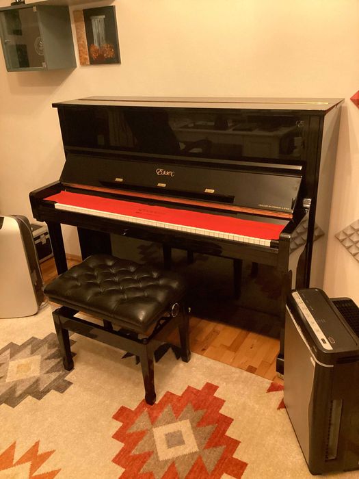 Pian Vertical Steinway & Sons, marca Essex EUP-123