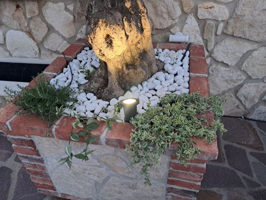 Jardiniere mobile si maslini seculari