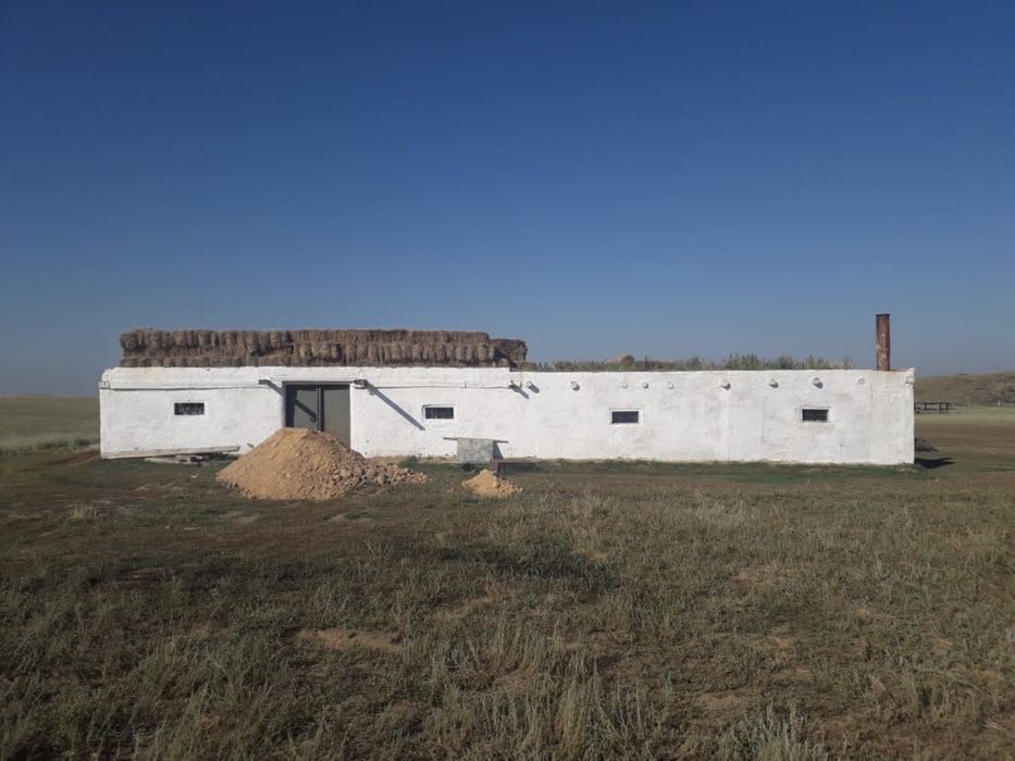 Крестьянское хозяйство