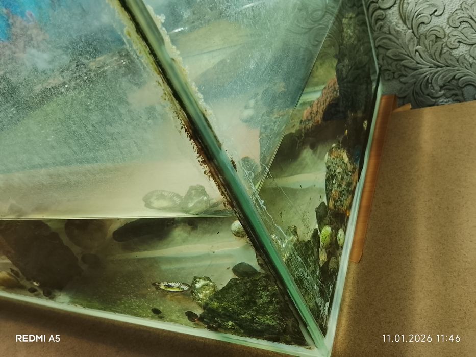 Продам аквариум с рыбками