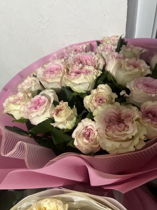 Свежый цветы  роза