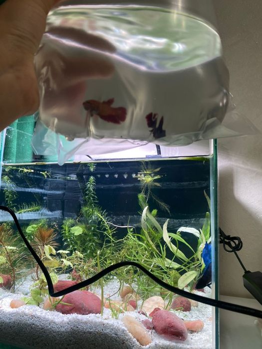 Аквариум 30х30 20л