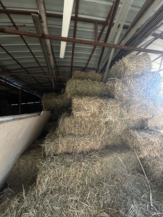 Шөп сатылады 2кост