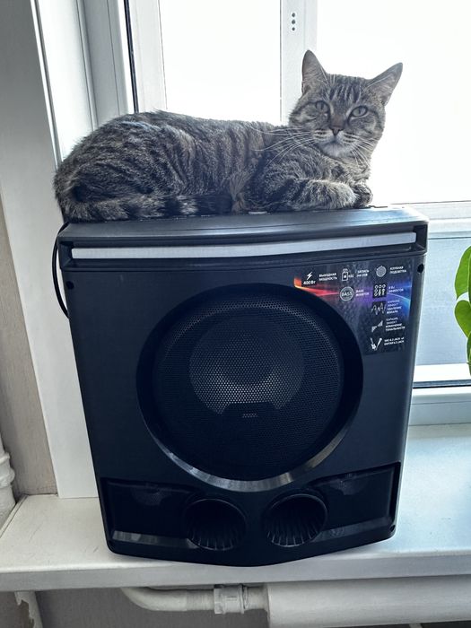 Продам колонку в хорошем состояние