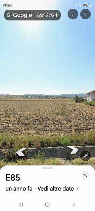 Vând teren 5000 mp la E85 Faraoani Bacău