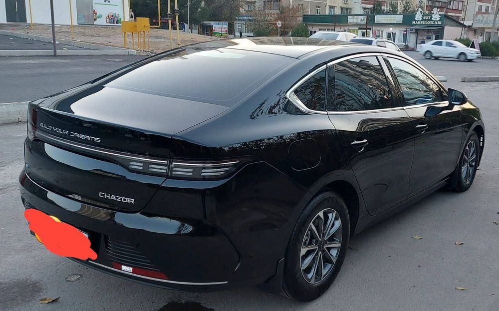 Byd chazor 1pozitsiya 55km