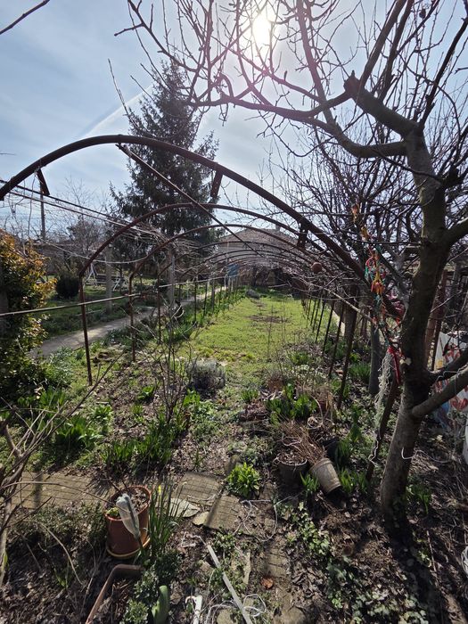 Продавам оранжерия ,без найлон