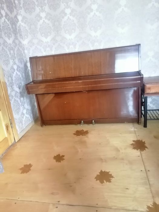 Пианино Petrof. Инструмент для профессионалов.