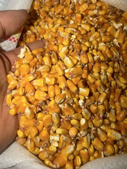 Huruiala pentru animale