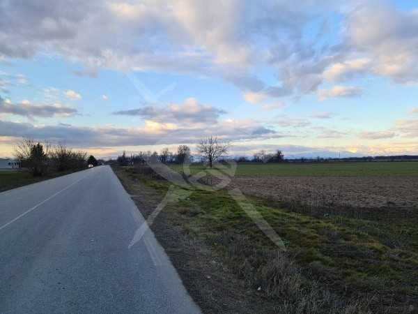 Продава се Парцел в с. Строево, Област Пловдив - 4499 кв.м за 18 €/кв.м - Снимка #2