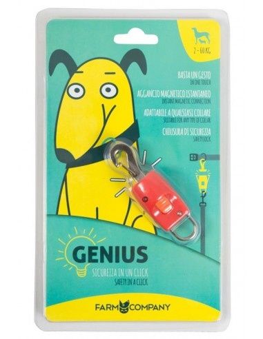 Siguranta magnetica pt lesa caini