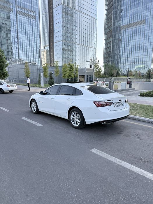 Malibu XL oq Tozza