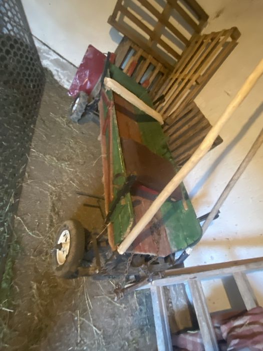 Vând ponei cu acte  are 5 ani foarte cuminte 60 mil negociabil  învățat călare