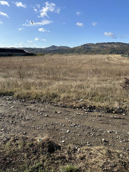 Teren Dumbrava Rosie deschidere 18,5m la DN