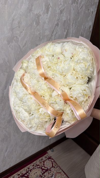 Пиона цветы красивая