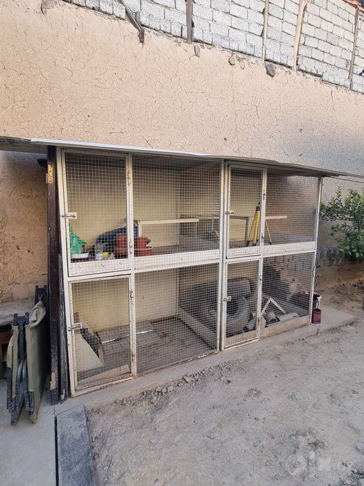 Tovuq katak sotiladi