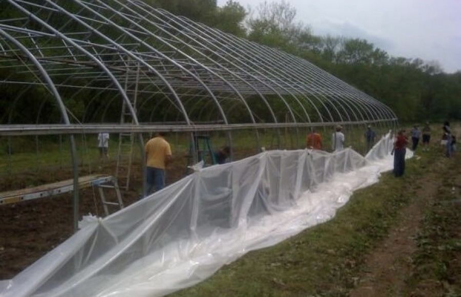 180 микрона Полиетилен за Оранжерии - Превъзходство в Земеделието!