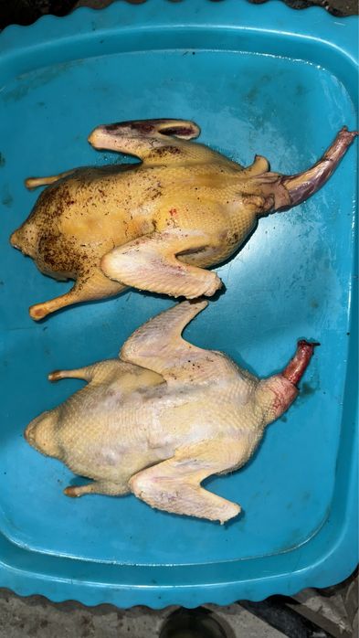 Қырғауыл, үйрек еттері сатылады