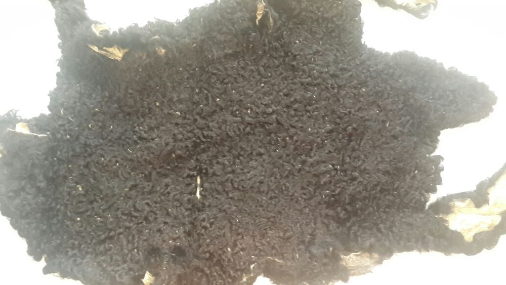 Каракуль. Мех. Шкурки.