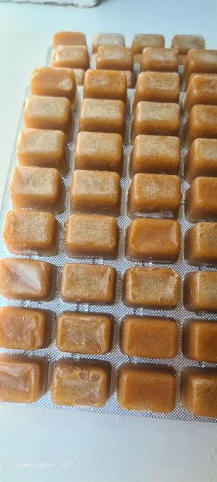 Дафния замороженные мелкая