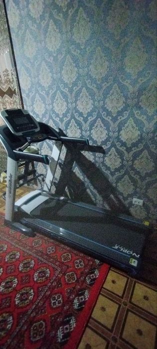 Беговая дорожка  245