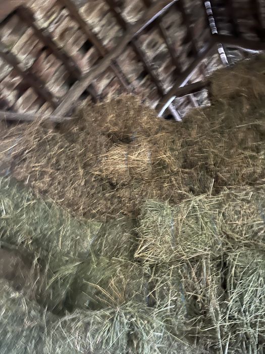 Vand baloti de lucerna