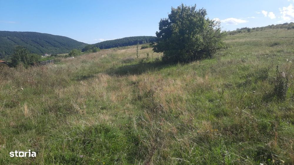 Teren de vanzare | Autorizatie de constructie casa pasiva | Salicea, j