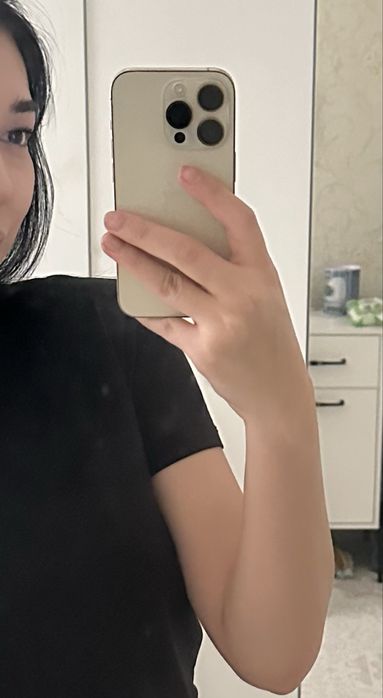 14 про 256гб 81%